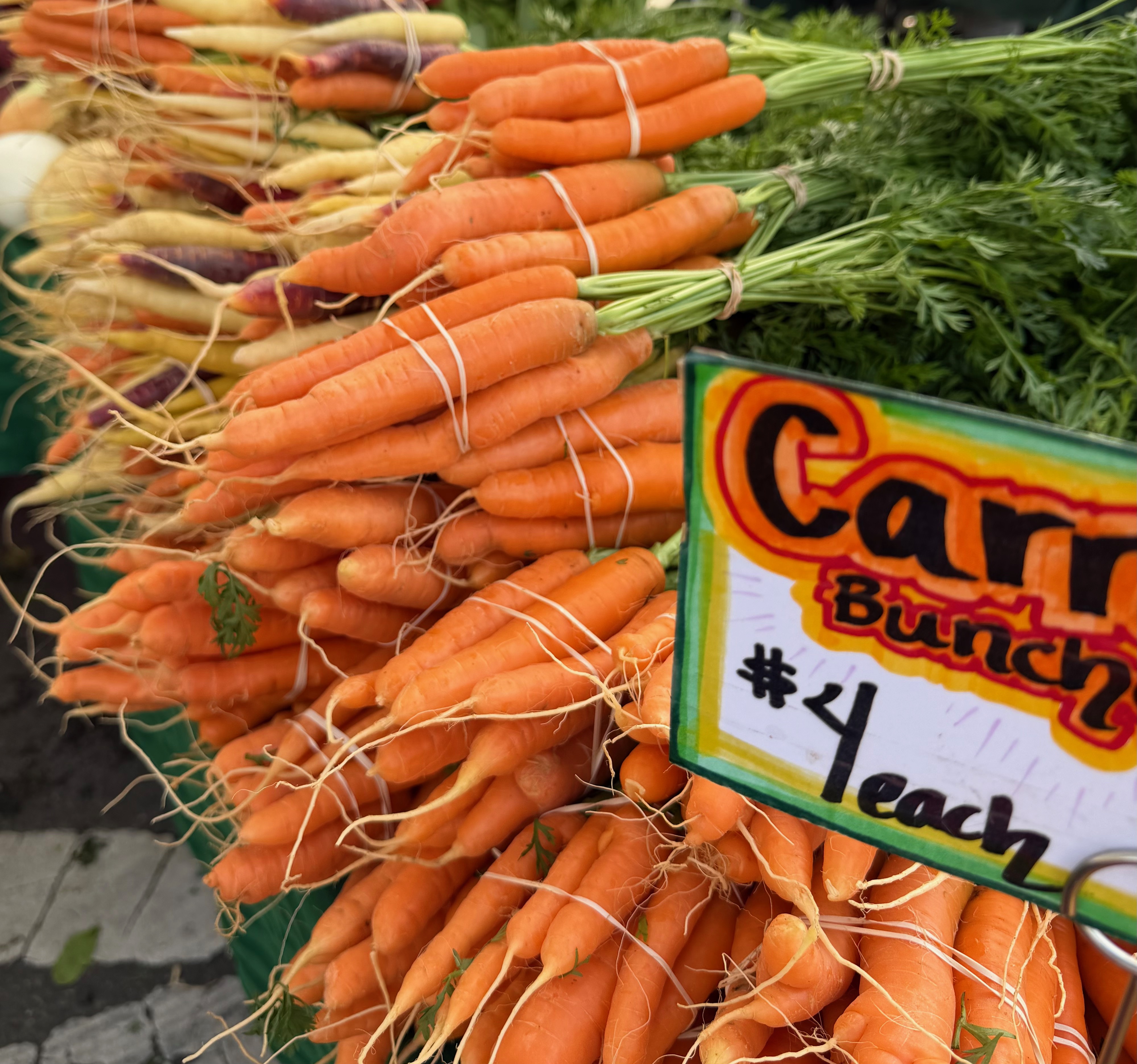 Fresh organic carrots at a Seattle-area farmers market